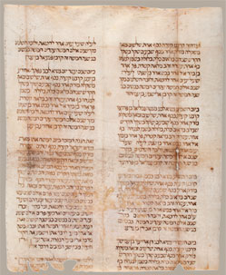 Fragmento de Sefer Torah (Rollo del Pentateuco en hebreo), s. XIV‒XV?