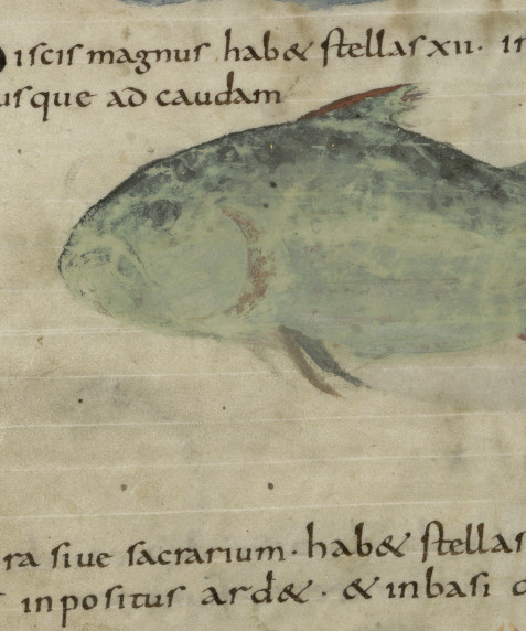 Códice de Metz