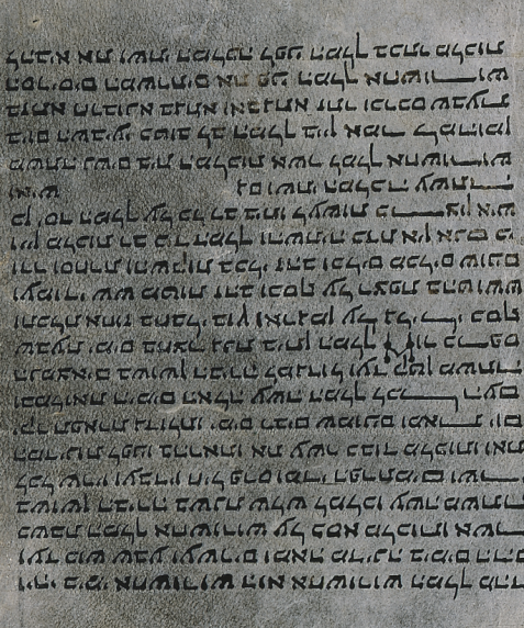 Biblia. A.T. Ester. Hebreo