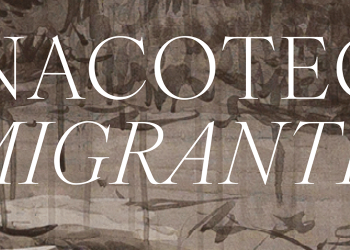 Pinacoteca Migrante Cabecera ""