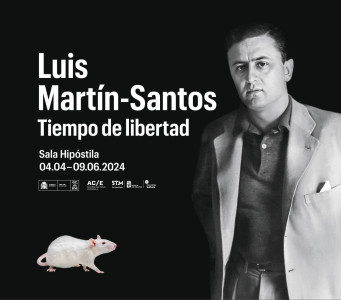 Gráfica de la exposición Luis Martín-Santos. Tiempo de Libertad