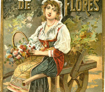Cubierta de El canastillo de flores