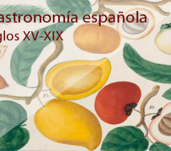 Gastronomía