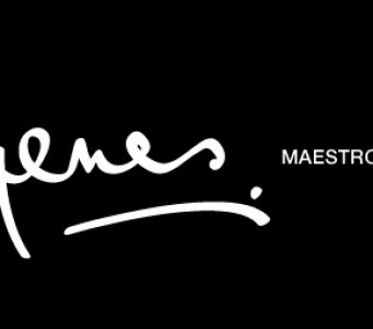 Gyenes. Maestro fotógrafo