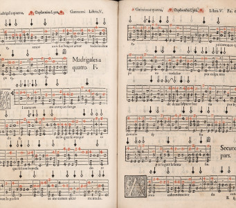 Libro de Música para vihuela intitulado Orphenica lyra