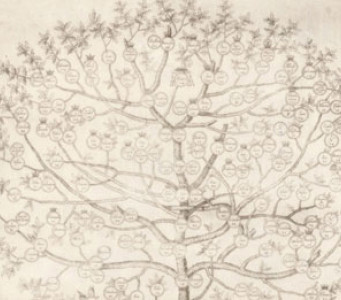 Genealogía y Heráldica