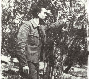 Miguel Hernández