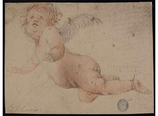 Ángel Niño de Juan Carreño