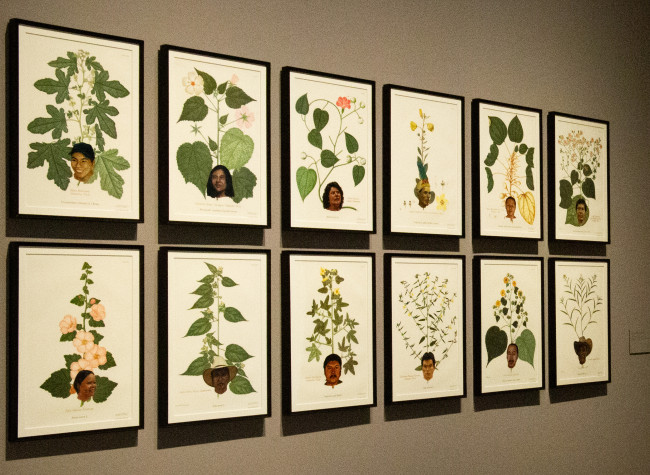 Montaje de la exposición Pinacoteca Migrante