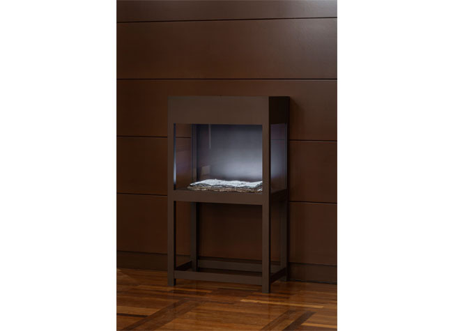© Pablo Gómez-Ogando. Cortesía Michal Rovner y Ivorypress