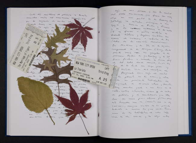 Documentos del archivo personal de Antonio Muñoz Molina