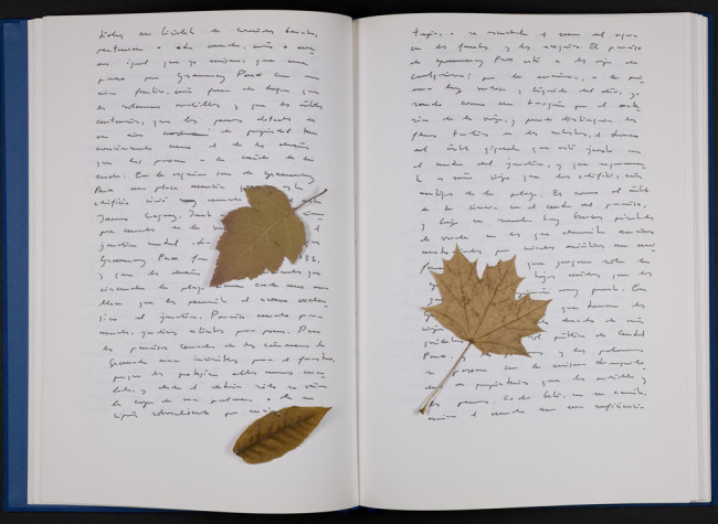 Documentos del archivo personal de Antonio Muñoz Molina