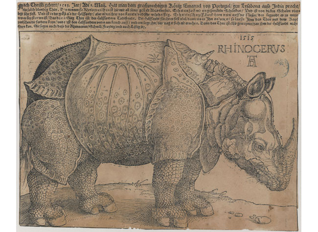 Albrecht Dürer, RHINOCERUS. BNE Invent/29766