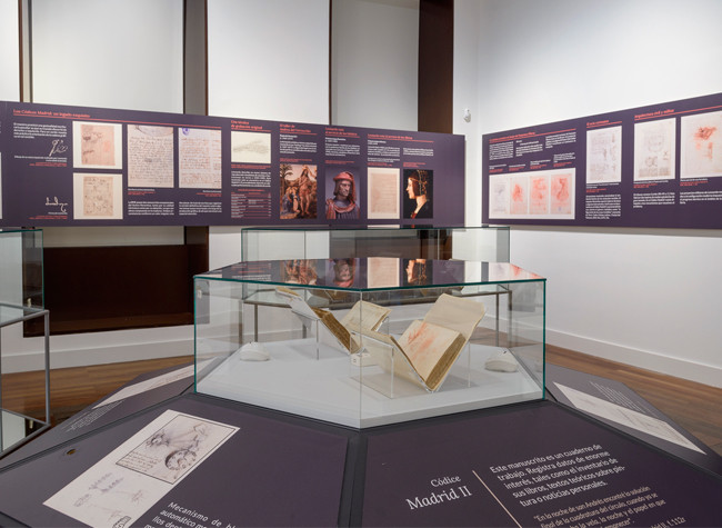 Montaje de la exposición Leonardo