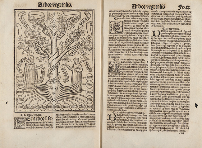 Arbor scie[n]tie venerabilis et celitus illuminati patris Raymundi Iullii (1515), Ramón Llull. BNE R/39194/19V/20R