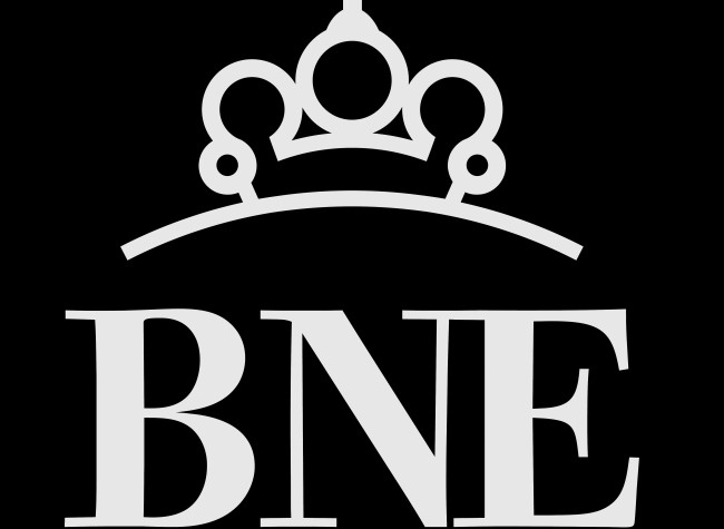 Logo BNE (negativo)