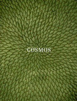 Cubierta del catálogo de la exposición Cosmos Cubierta del catálogo de la exposición Cosmos