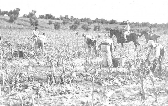 Sequia otoñal.Nuevo-mundo-Madrid-28-11-1930